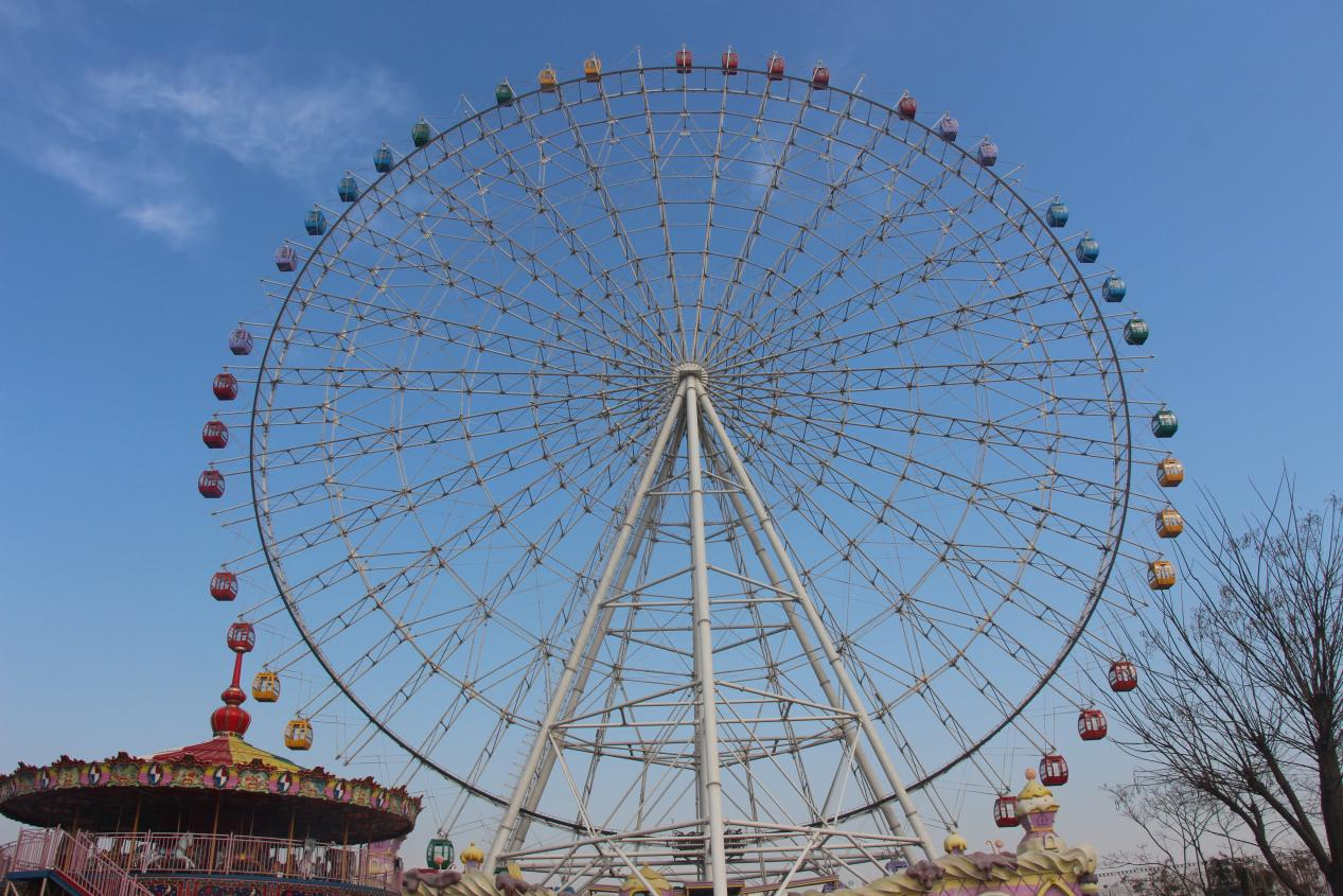 roller coaster